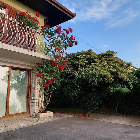 Apartma Niko Piran Exteriér fotografie