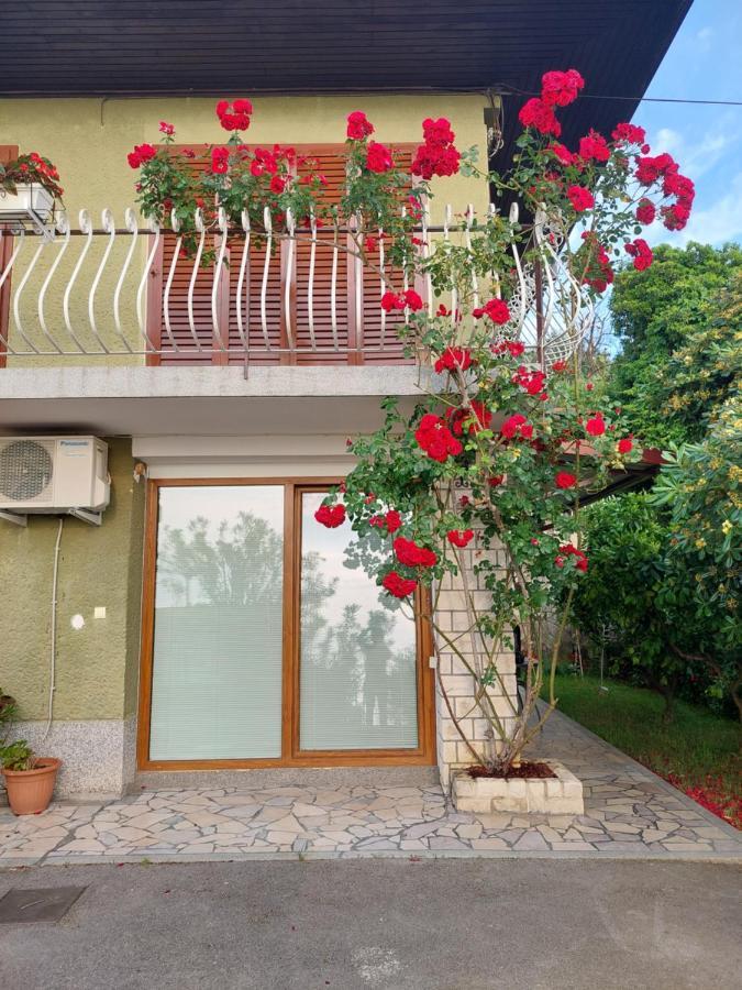 Apartma Niko Piran Exteriér fotografie